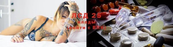 дмт Арсеньев
