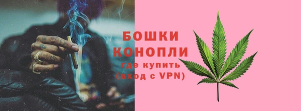 дмт Арсеньев