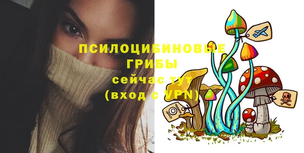 дмт Арсеньев