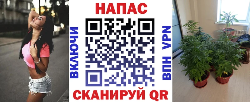 Канабис VHQ Новоалександровск